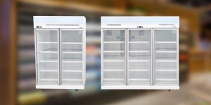 LeadEdge Series Glass Door Freezer(PLUG-IN) 