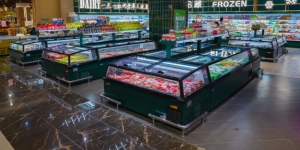 Linglong Series Integral Chest Freezer (Plug-in)